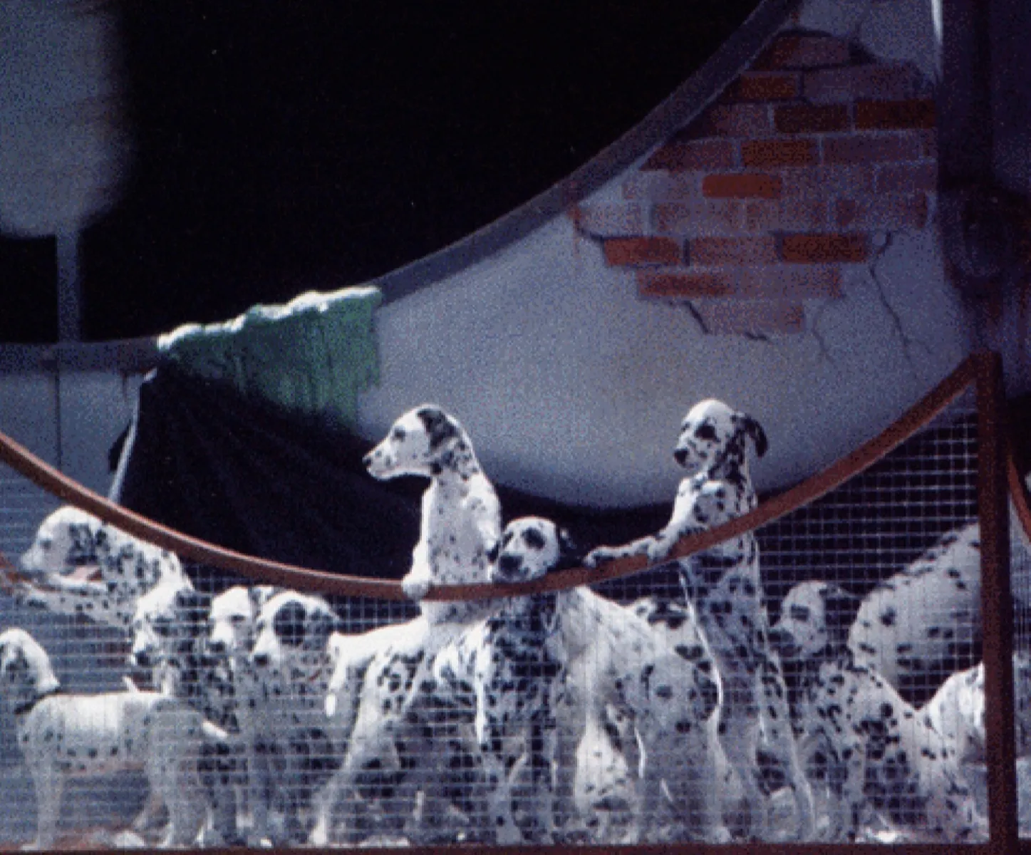 Imagen del musical 101 dálmatas (2001)