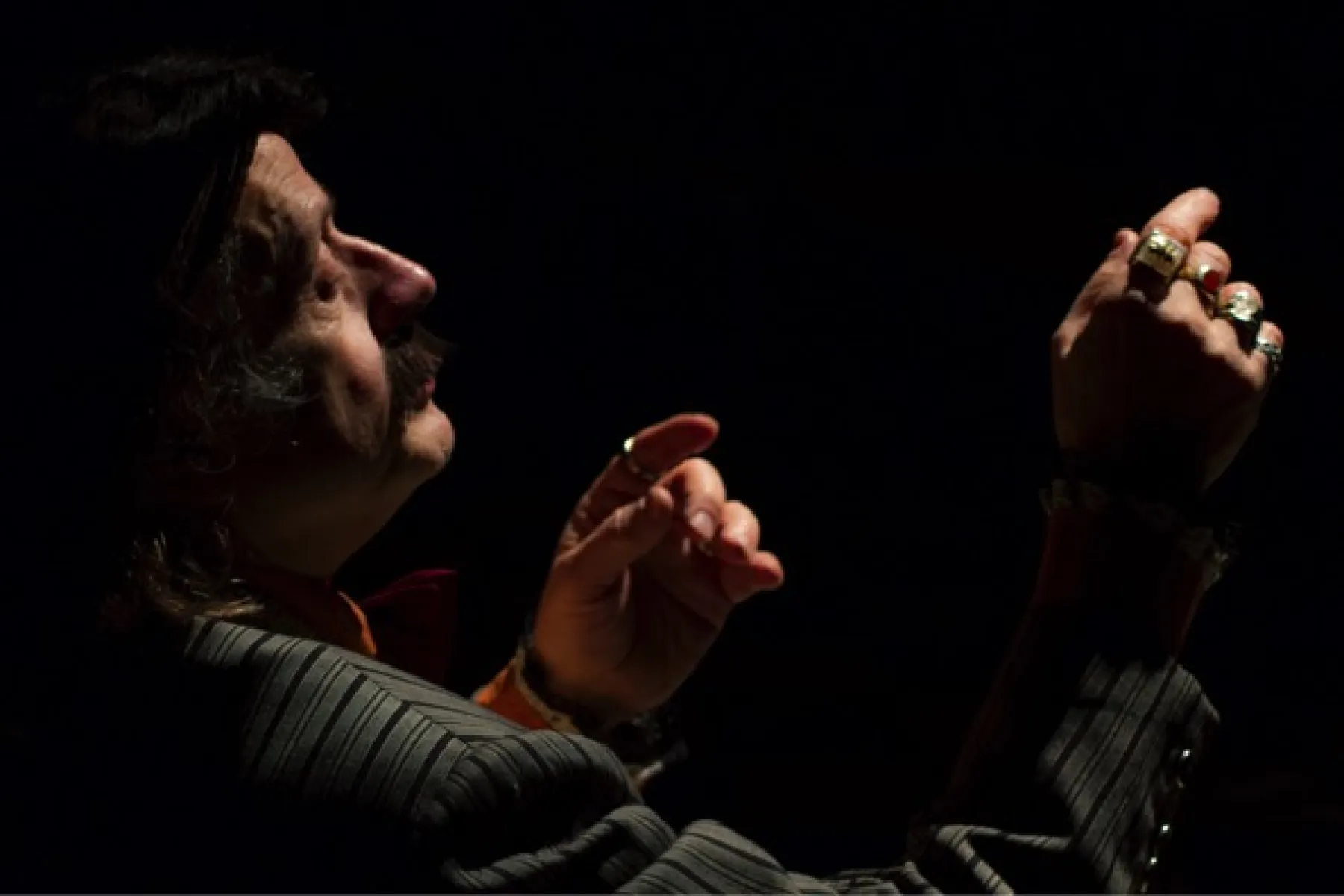 Imagen del musical Una nit amb Andrés Villarrosa