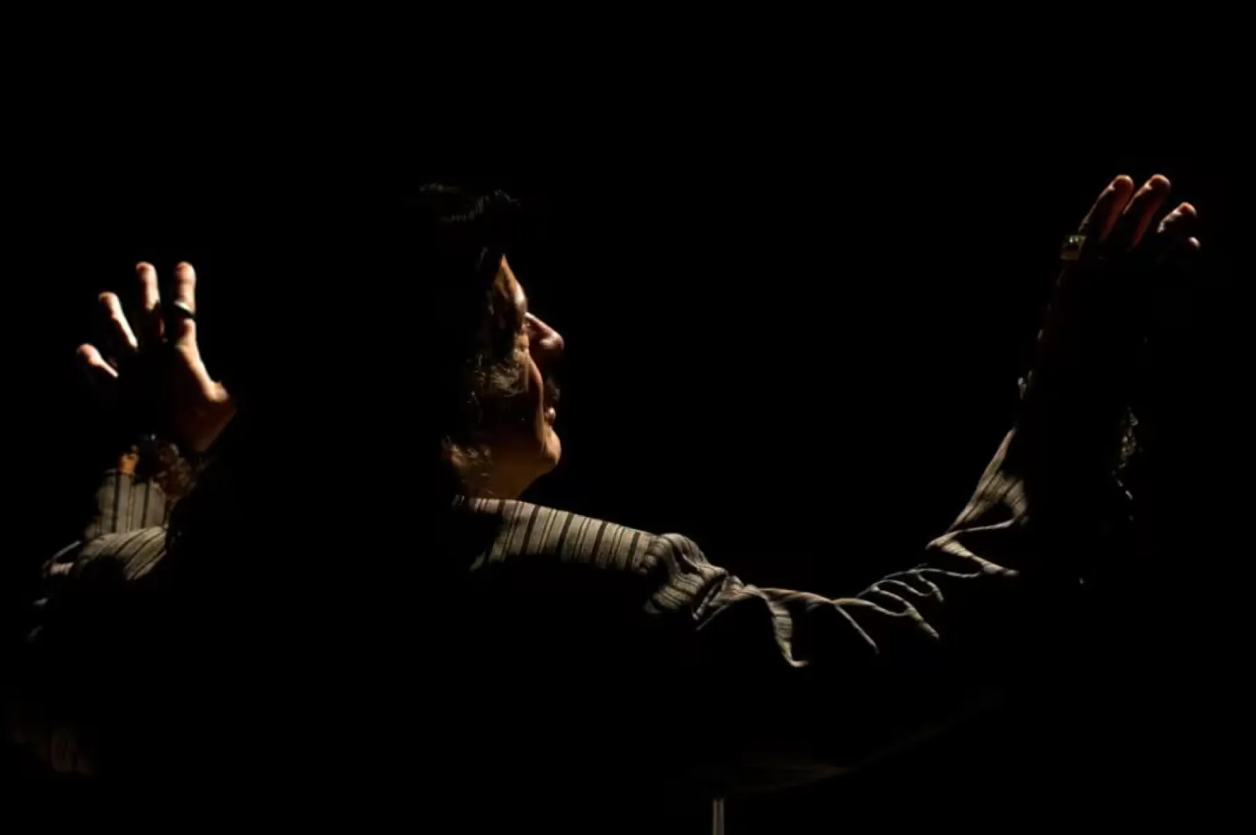 Imagen del musical Una nit amb Andrés Villarrosa