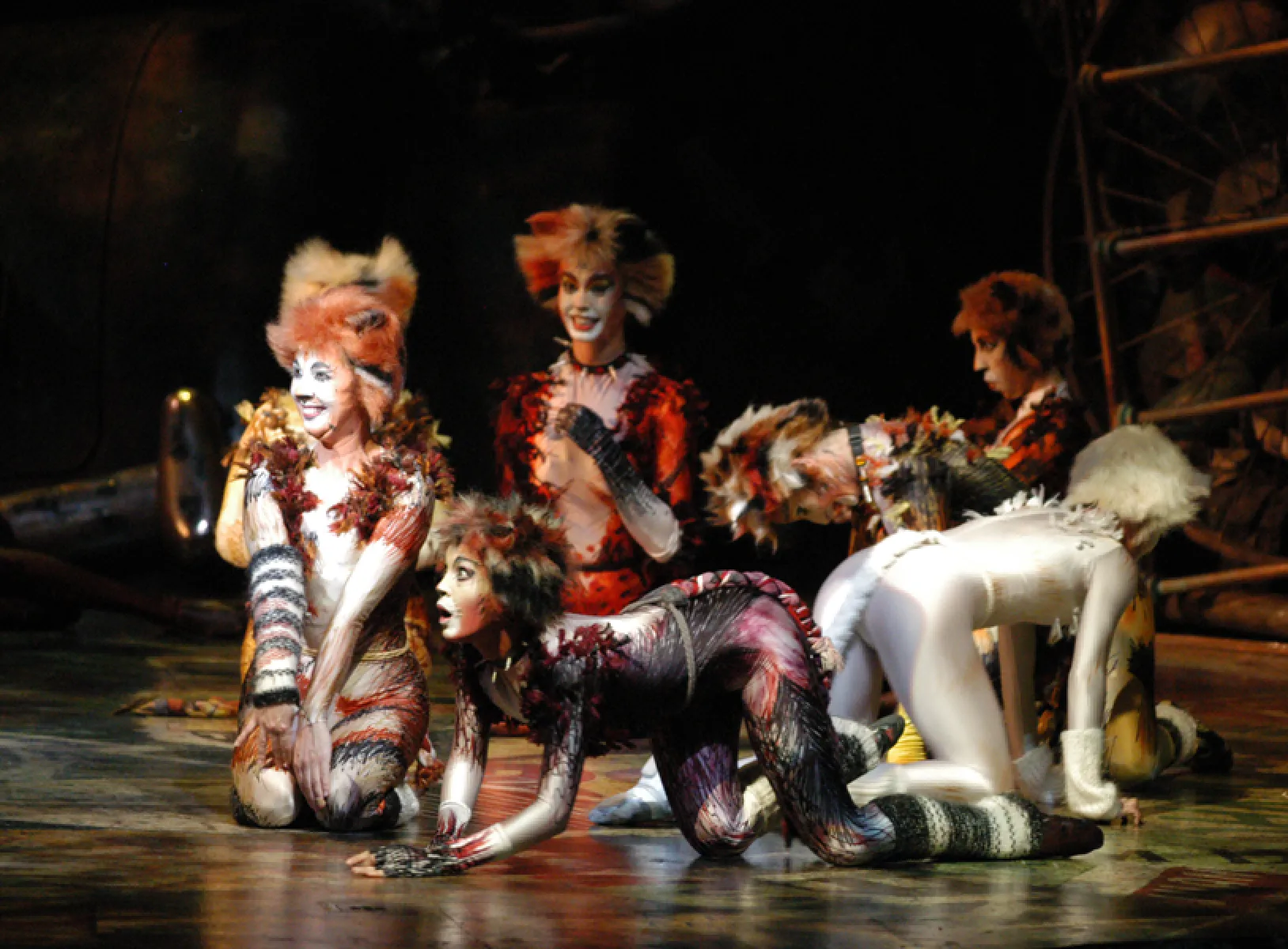 Imagen del musical Cats (2003)