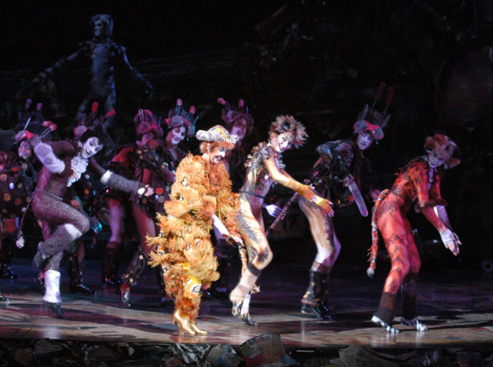 Imagen del musical Cats (2003)