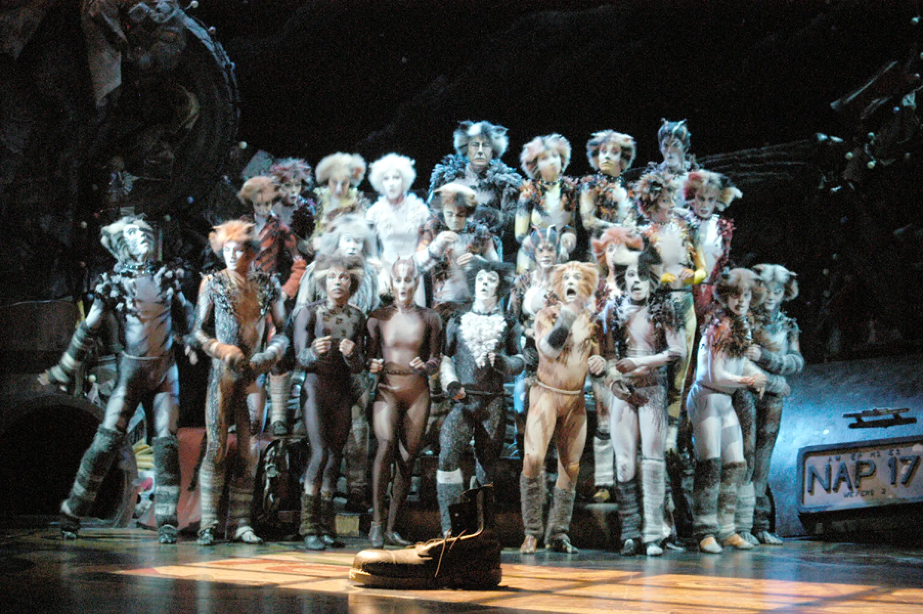 Imagen destacada de Cats (2003)
