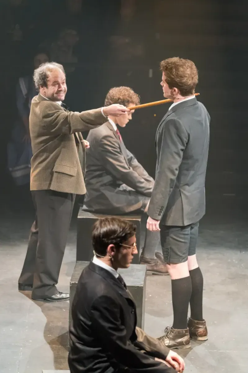 Imagen del musical El despertar de la primavera (2016)
