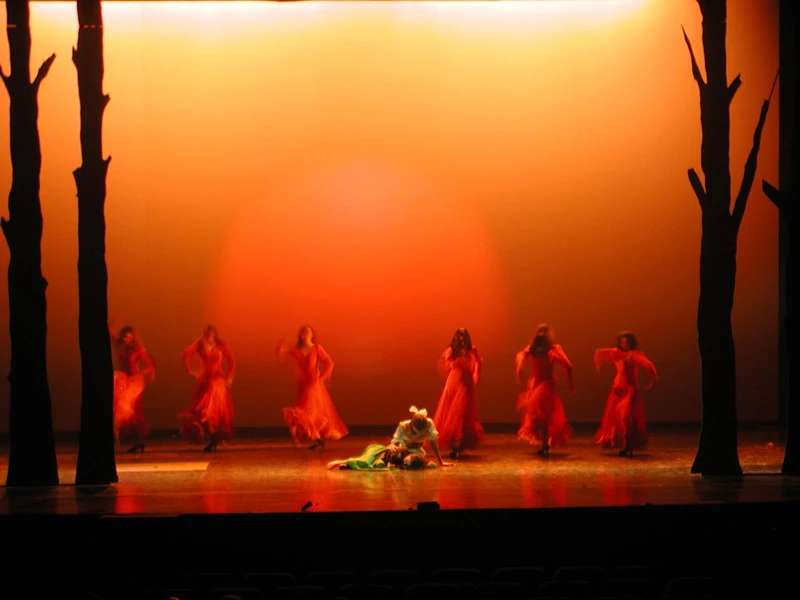 Imagen del musical En nombre de la infanta Carlota (2002)