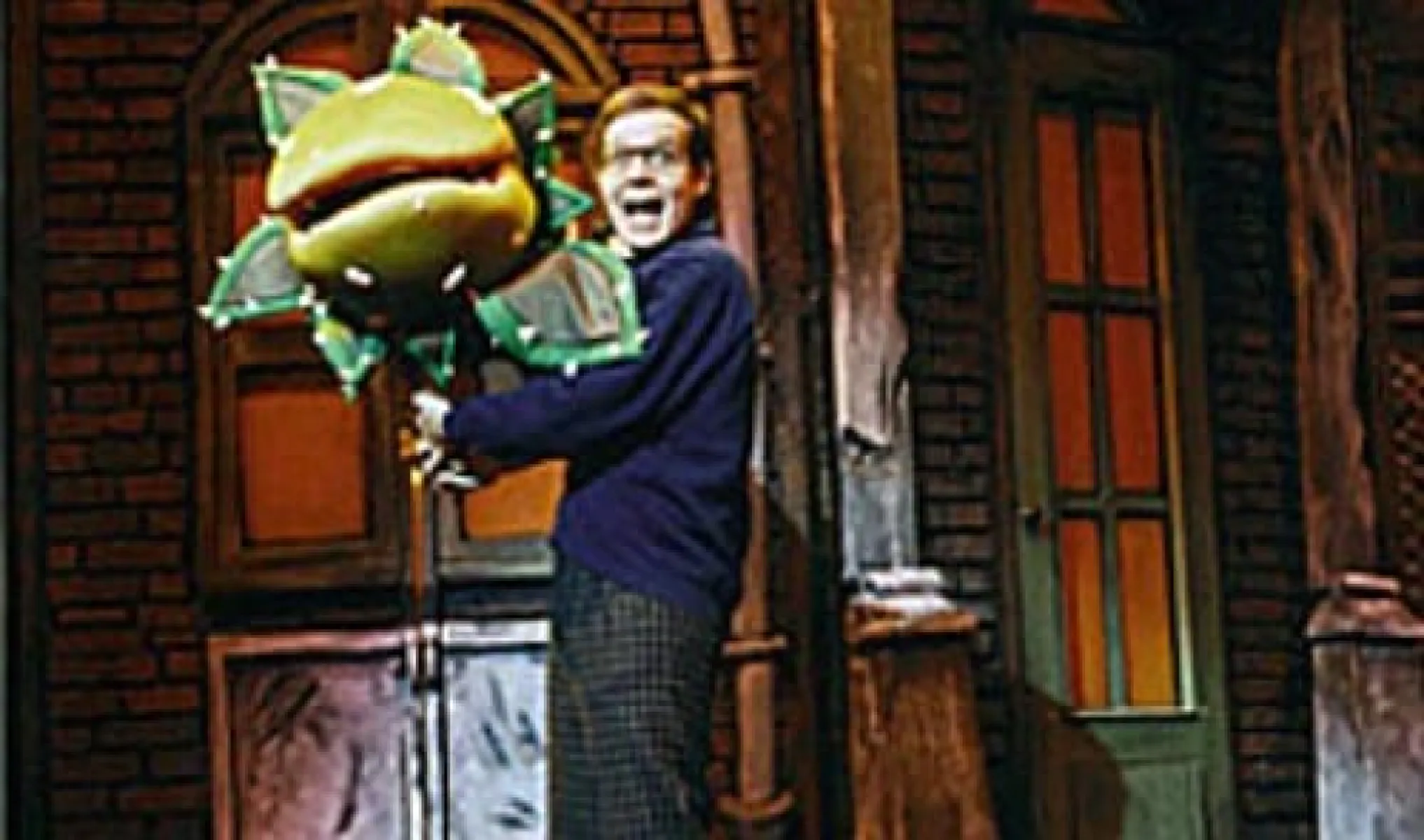 Imagen del musical La tienda de los horrores (1999)