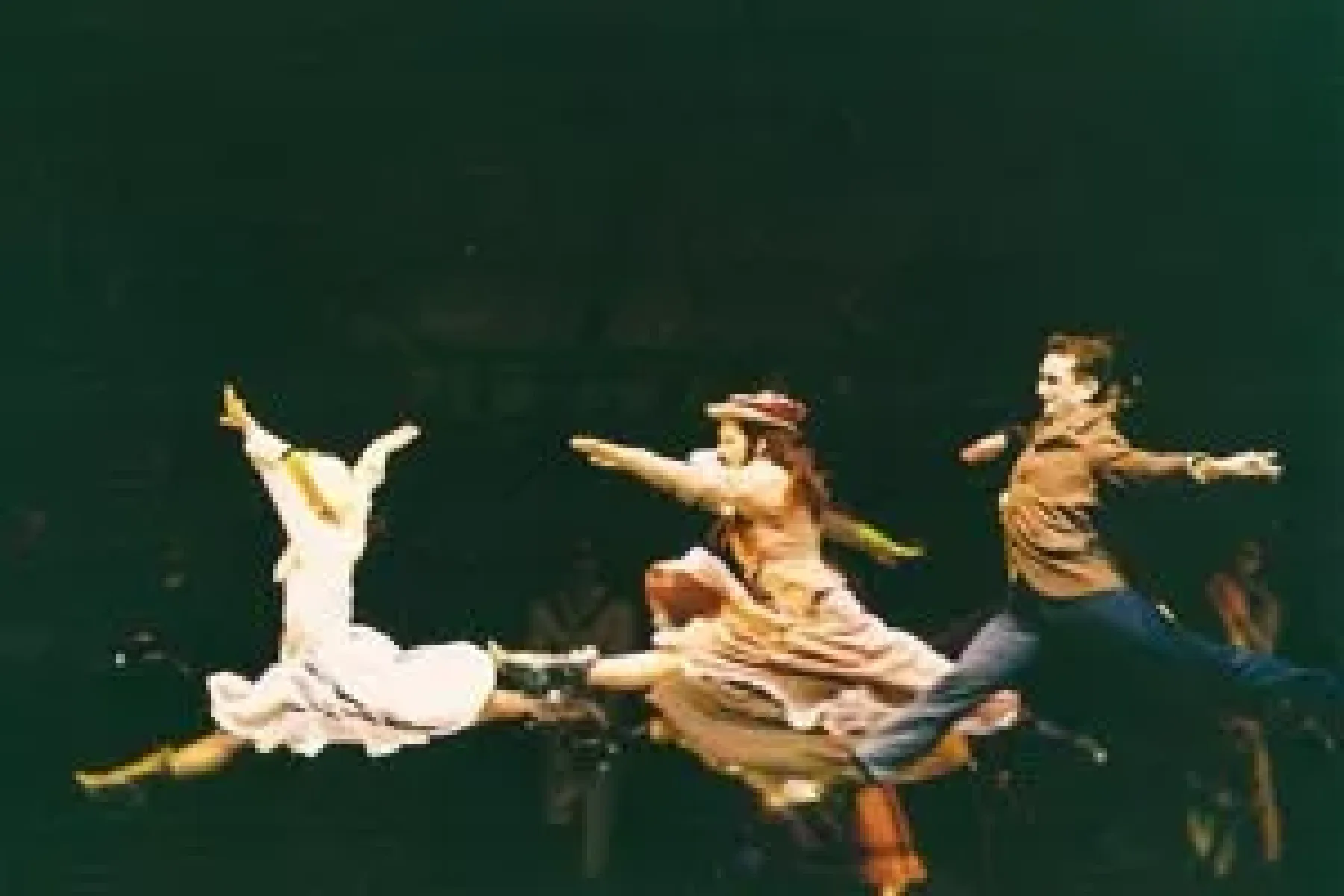 Imagen del musical Drácula (1994)