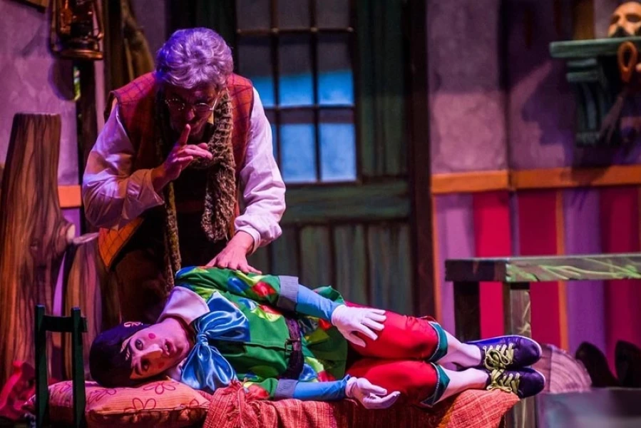 Pinocho, un musical de aventuras (2014)