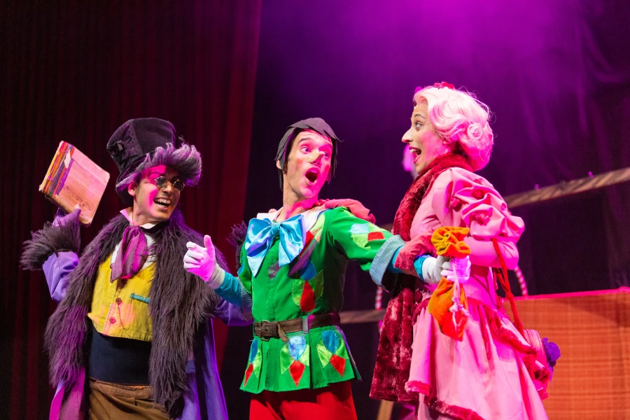 Pinocho, un musical de aventuras (2014)