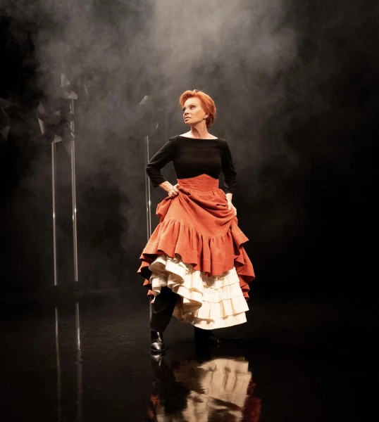 Imagen del musical Dulcinea