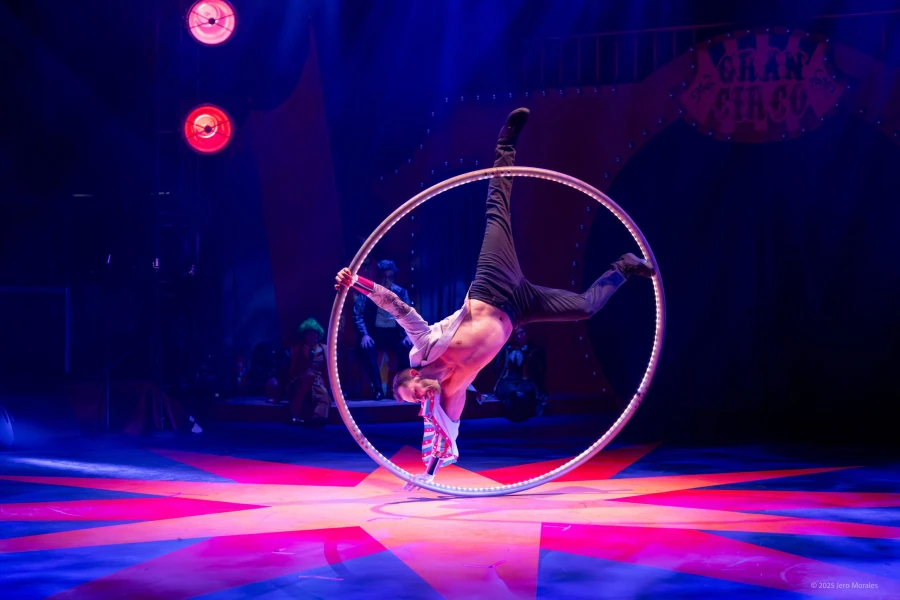 Imagen del musical El maravilloso circo de la navidad (2025)