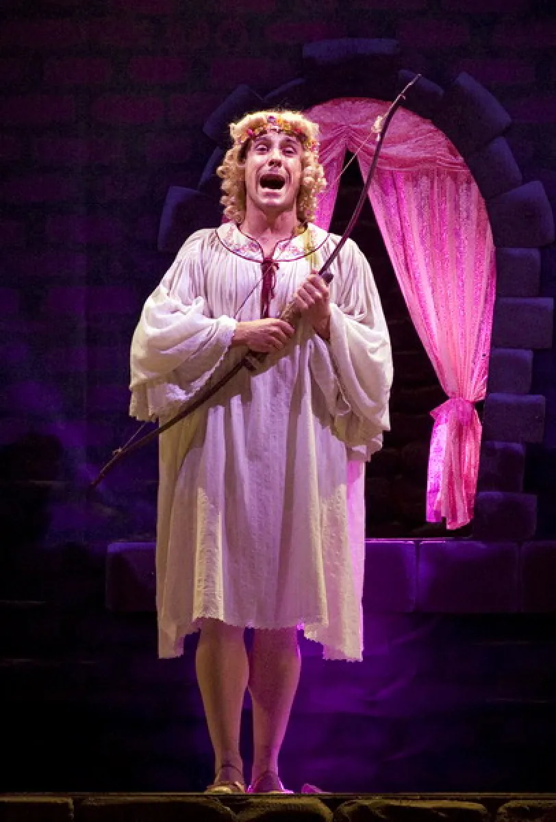 Imagen del musical Spamalot (2009)
