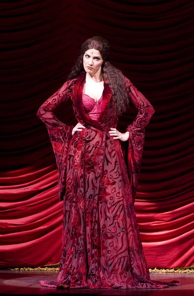 Imagen del musical Spamalot (2009)