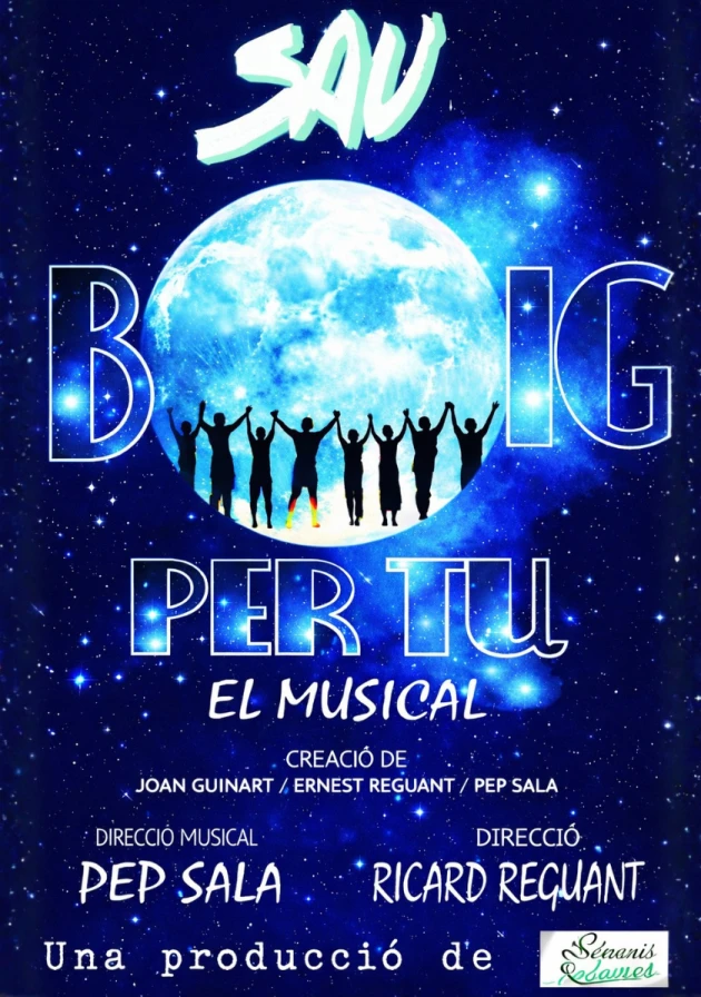 Poster del musical Boig per tu (2013)