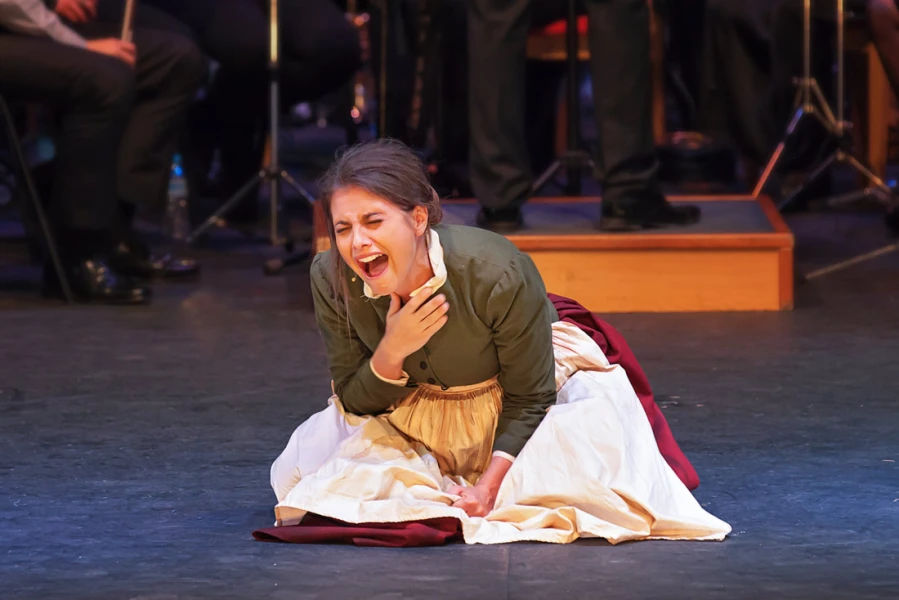 Imagen del musical Germinal (2016)