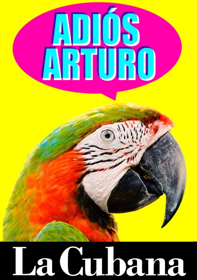 Poster del musical Adiós Arturo (2018)
