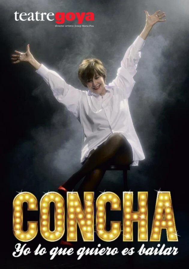 Poster del musical Yo lo que quiero es bailar (2011)