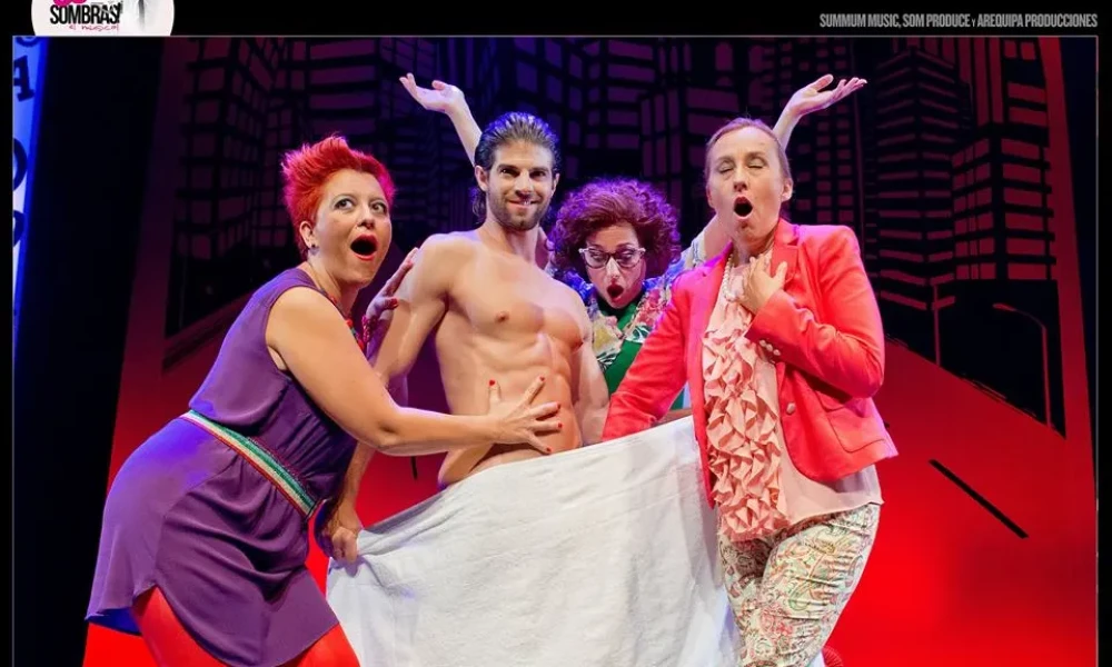 Imagen del musical 50 sombras (2014)