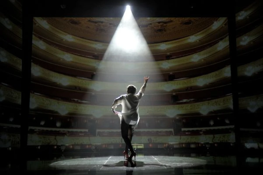 Imagen del musical Yo lo que quiero es bailar (2011)