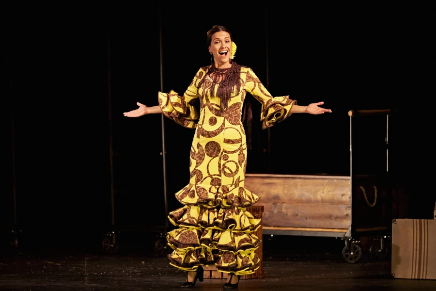 Imagen del musical Un viaje sin retorno