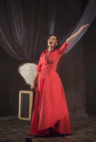 Imagen del musical 24 horas en la vida de una mujer (2017)