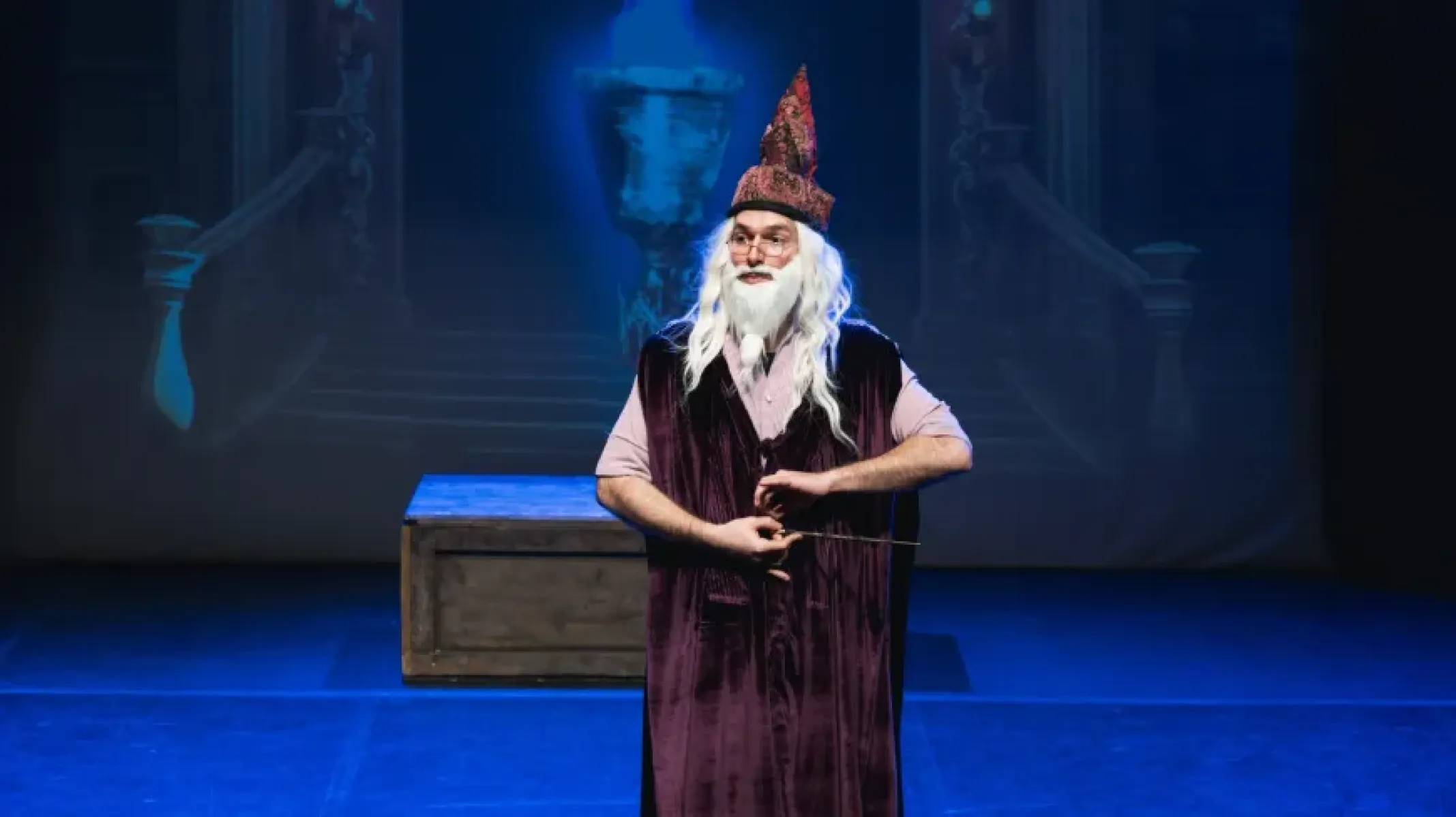 Imagen destacada de Havi Potter y la parodia musical