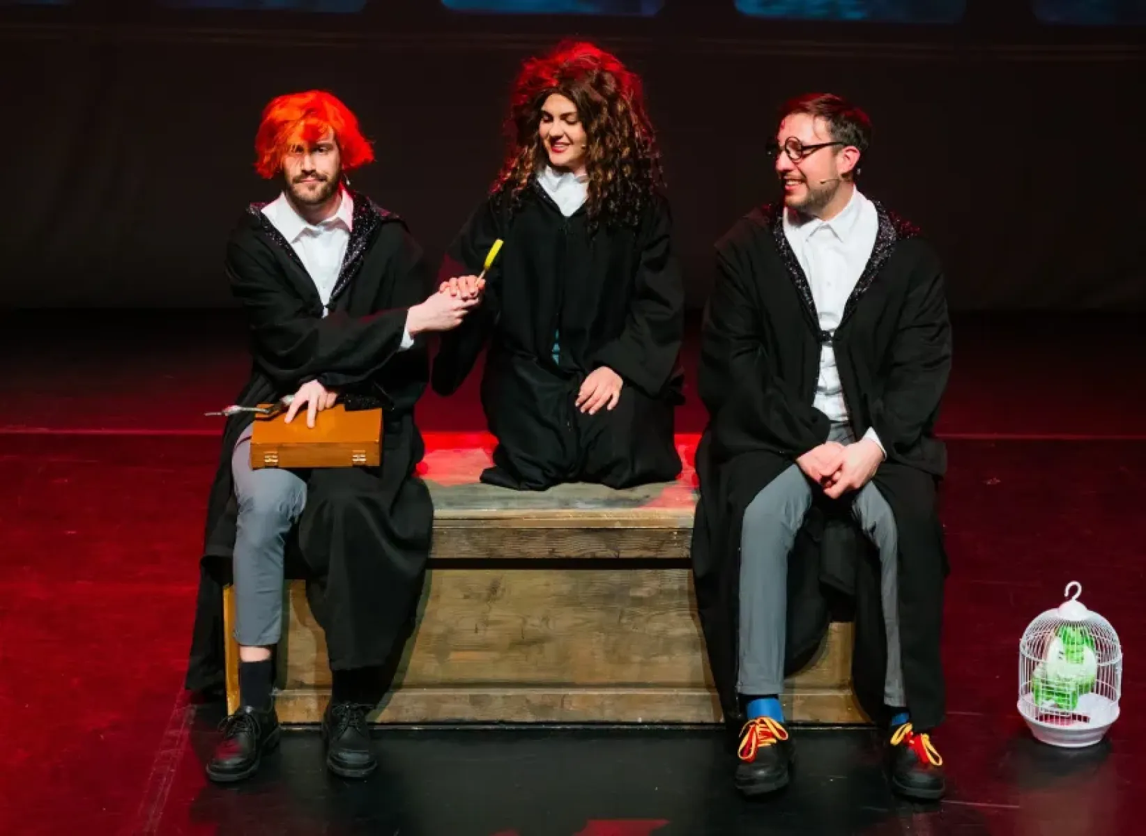 Imagen del musical Havi Potter y la parodia musical